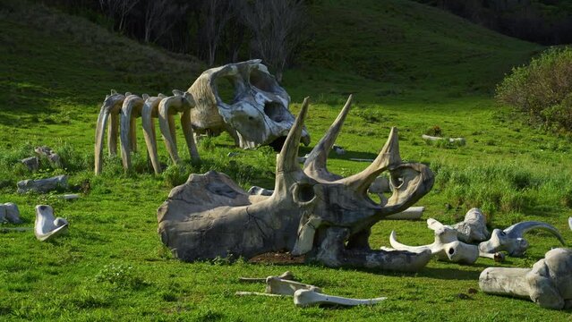 Creepy Monster Bones In Green Valley - Drone Around Shot