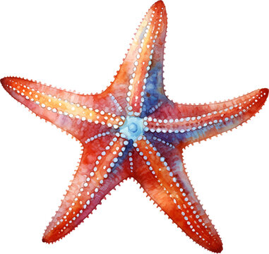 recommend clip art: Starfish Watercolor clipart