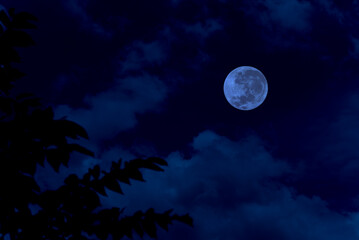 Fototapeta na wymiar Full moon on sky in the night.