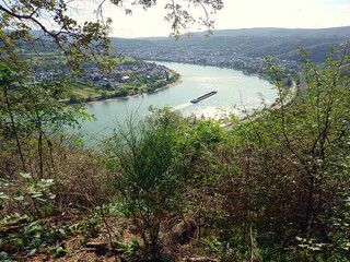 Aussicht auf den Rhein bei Boppard im UNESCO-Welterbe Oberes Mittelrheintal, Rheinland-Pfalz und...