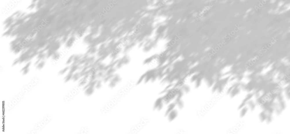 Poster shade of tree branches move transparent backgrounds 3d rendering png