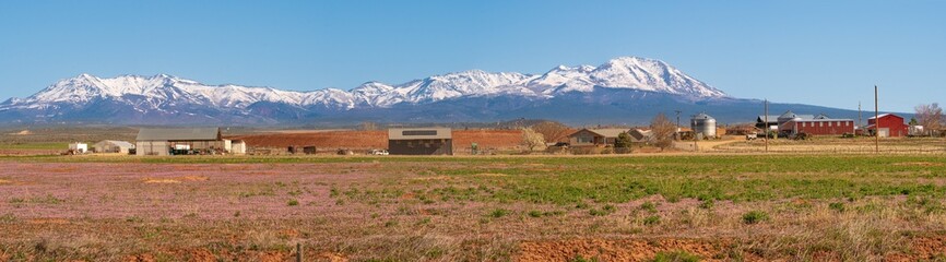 panorama of a typical western USA farm and barn with snowcapped mountains in the backgrund, in spring, Utah, USA.