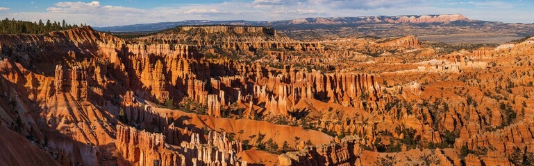Panorama of the hoodoos in Bryce Canyon, Utah, USA in the late spring afternoon. Bright light.