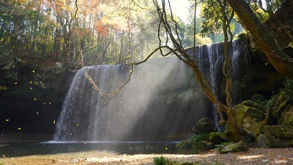 陽光さし落ち葉舞う鍋ヶ滝