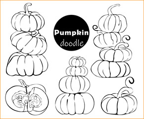 Set of ripe pumpkins stacked in sketch, doodle style. Collection of pumpkins  various shapes. Elements for autumn decoration, Halloween invitations, harvest.