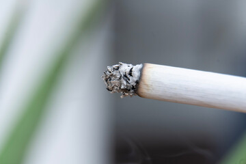 cigarette macro view. cigarette burning. a cigarette slowly be consumed by fire