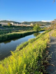 Japanese River Beauty Captured Perfectly 