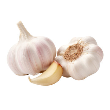 Close up raw garlic isolated on a transparent background