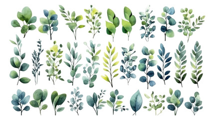 Vector elements set collection of tropical green eucalyptus in Watercolor style. Illustration for cosmetics, spa, beauty care products, Wedding Invitation, save the date, thank you, greeting card. - obrazy, fototapety, plakaty