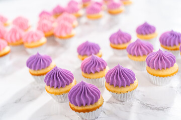 Mini Vanilla Cupcakes with Pink Buttercream Frosting