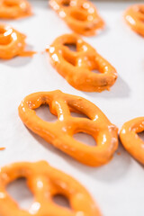 Gourmet Chocolate Covered Pretzel Twist