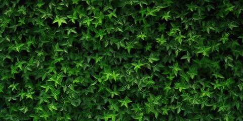 photo of green leaves spreading evenly across the fence. generative AI