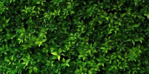 photo of green leaves spreading evenly across the fence. generative AI