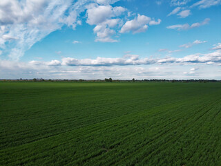Fototapeta na wymiar Blue sky over a green field, aerial view. Farmland landscape.