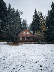 Fototapeta premium Casa de Bosque repleta de nieve, ubicada en una isla dentro de San Carlos de Bariloche.