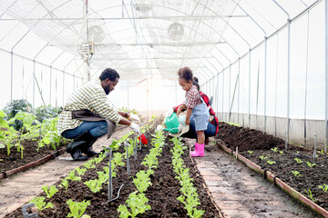 Happy family in vegetable garden at countryside, Asian mother, African father and curly haired girl kid daughter work in farm together. Watering, shoveling soil, weeding and caring agricultural plants