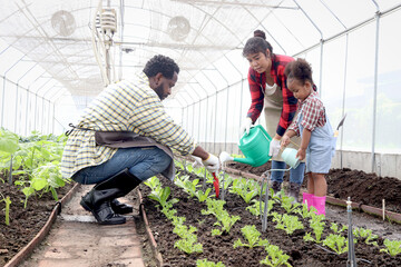 Happy family in vegetable garden at countryside, Asian mother, African father and curly haired girl kid daughter work in farm together. Watering, shoveling soil, weeding and caring agricultural plants