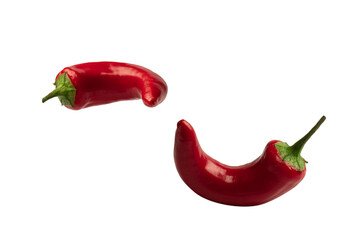 Red hot chili pepper isolated on a white background.