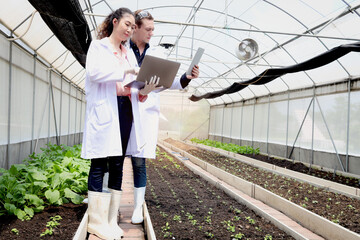 Botanist scientist woman and man in lab coat work together on experimental plant plots, two biological researchers hold laptop and tablet while discuss on science experiment with plant in greenhouses. - obrazy, fototapety, plakaty