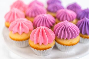 Mini Vanilla Cupcakes with Pink Buttercream Frosting