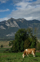 Fototapeta na wymiar Herbstliche Wolkenstimmung um den Hohen Kasten, mit Blick auf das Rheintal