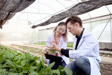 Botanist scientist woman and man in lab coat work together on experimental plant plots, male...