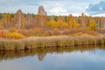 Нижний Академ