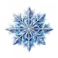Snowflake isolated on white background. .