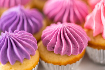 Mini Vanilla Cupcakes with Pink Buttercream Frosting