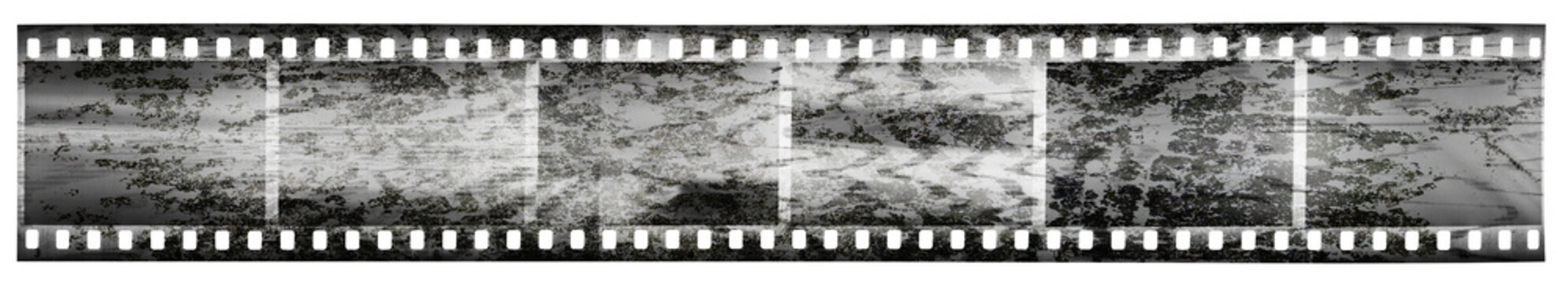detail scan of long black and white 35mm filmstrip with massive scanning light interferences on the film material.