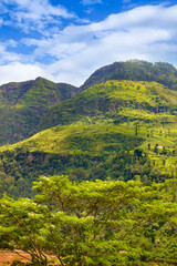 Tropical forest and rural landscape on the slopes of picturesque mountains. Vertical photo.
