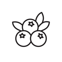 Berries icon. Berries sign. Berries symbol vector pictogram. UX UI icon