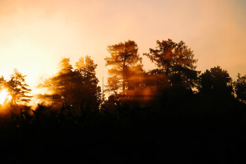 Very beautiful sunrise in summer over a foggy lake. Early morning in summer in nature. Defocused