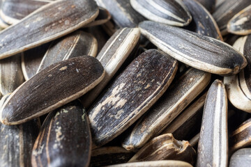 sunflower seeds background