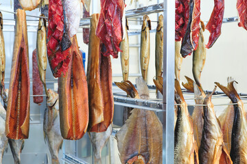 Smoking Process Fish. Fish processing smoking. Mackerel Fish smoked in smokehouse. Smoking Process...
