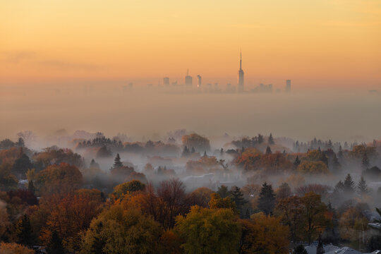 Toronto Skyline Fall Colours 2