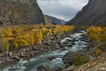 Russia. The South Of Western Siberia, The Altai Mountains. Golden autumn in the valley of the Chulyshman River near the Katu-Yaryk pass.
