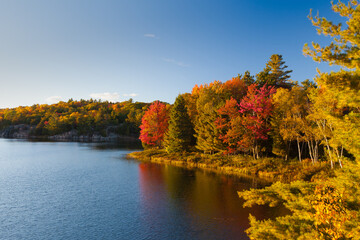 Killarney Fall Colours Trees Lake 2