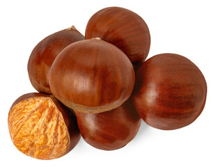 Horse Chestnut isolated on white background. Autumn concept with Chestnut  Top view. Flat lay..