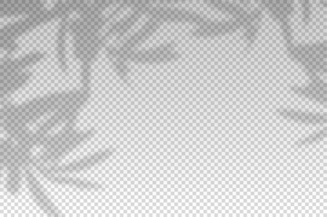 Plants overlay shadow. Reflect light from branches. Sun rays reflection shadows on wall. Reflected shades isolated on transparent background. Horizontal shading design mockup. Vector illustration