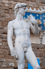 Head of a famous statue by Michelangelo - David, Florence