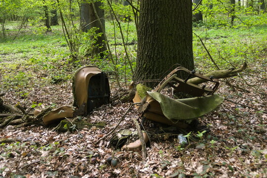 rotten car seats in a forest