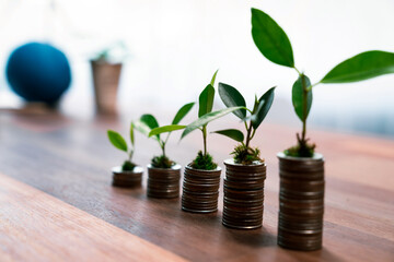 Fototapeta na wymiar Organic money growth investment concept shown by stacking piles of coin with sprout or baby plant on top. Financial investments rooted and cultivating wealth in harmony with nature. Quaint