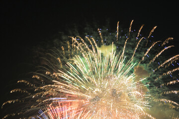 Fireworks Celebration Display New Year's Eve
