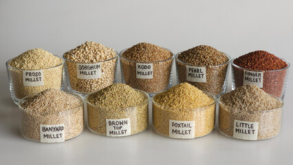 A single image showing all nine millets. Millets are arranged in bowls that are labelled.
