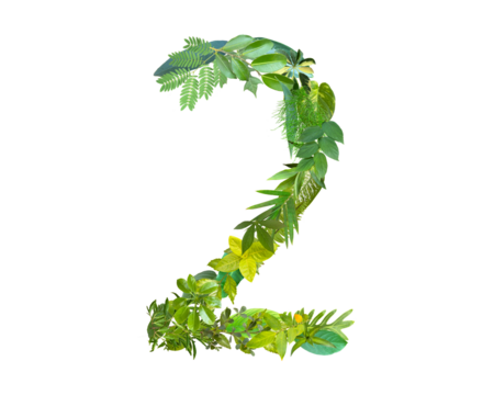 The shape of the number 2 is made of various kinds of leaves isolated on transparent background. suitable for birthday, anniversary and memorial day templates