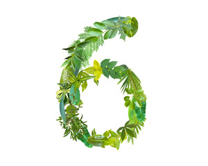 The shape of the number 6 is made of various kinds of leaves isolated on transparent background. suitable for birthday, anniversary and memorial day templates