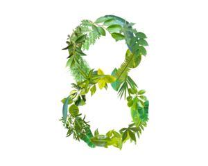 The shape of the number 8 is made of various kinds of leaves isolated on transparent background. suitable for birthday, anniversary and memorial day templates