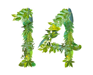 The shape of the number 14 is made of various kinds of leaves isolated on transparent background....