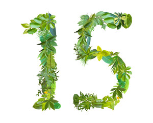 The shape of the number 15 is made of various kinds of leaves isolated on transparent background....